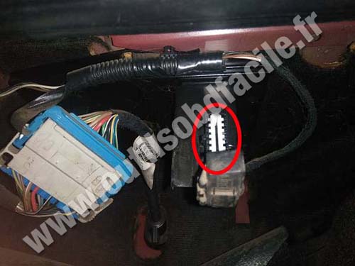 Fiat Panda - Prise OBD