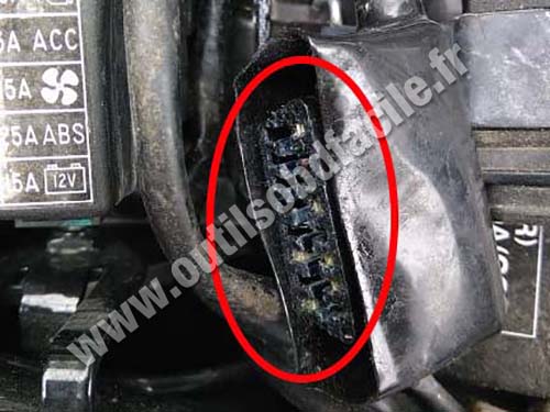 Triumph Thruxton - Prise OBD