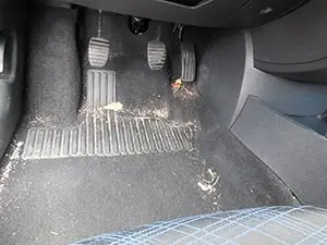 tapis sol voiture